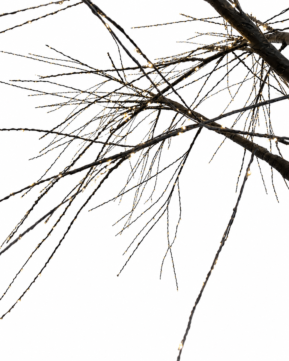 Albero Decorativo LED Nero – EDG Enzo De Gasperi
