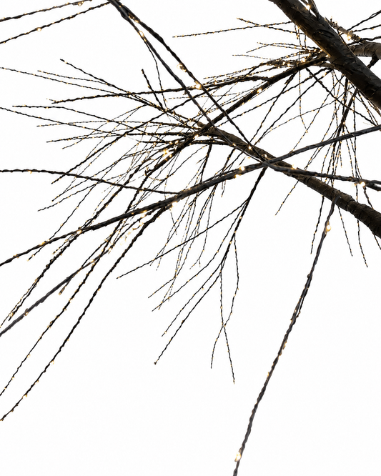 Albero Decorativo LED Nero – EDG Enzo De Gasperi